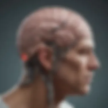 Understanding Brain Mechanisms in PTSD Illustration of brain mechanisms affected by PTSD